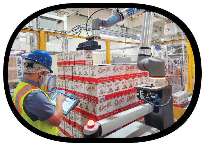 what is a cobot?-food packaging and cobot